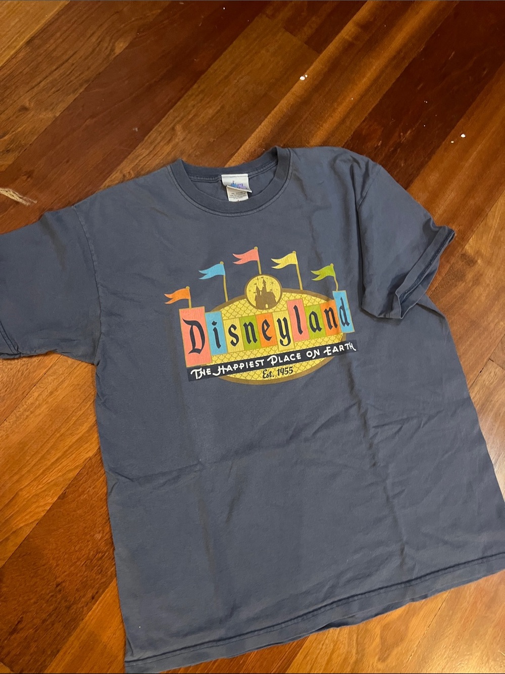Disney Slate Blue Disneyland Graphic Tee with Multicolor Banner